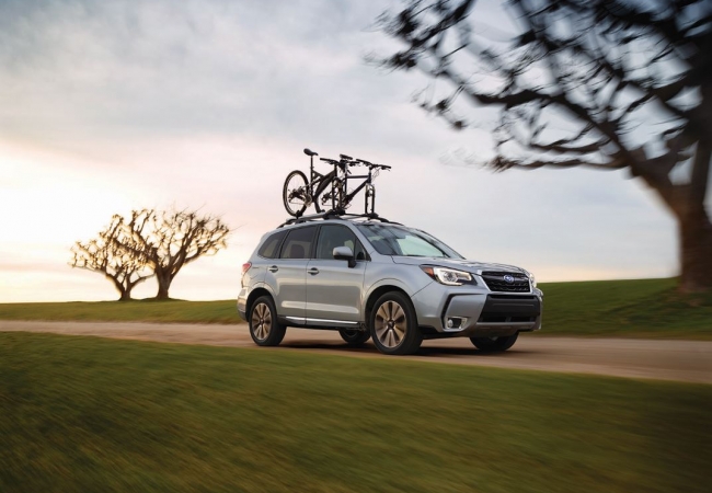 Subaru Foresters available in Cortlandt Manor, NY at Curry Subaru