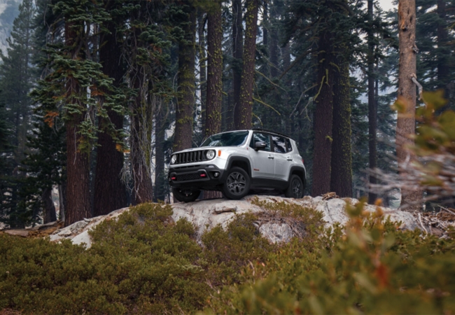 Jeep Renegades available in Everett, WA at Dwayne Lane's CDJR