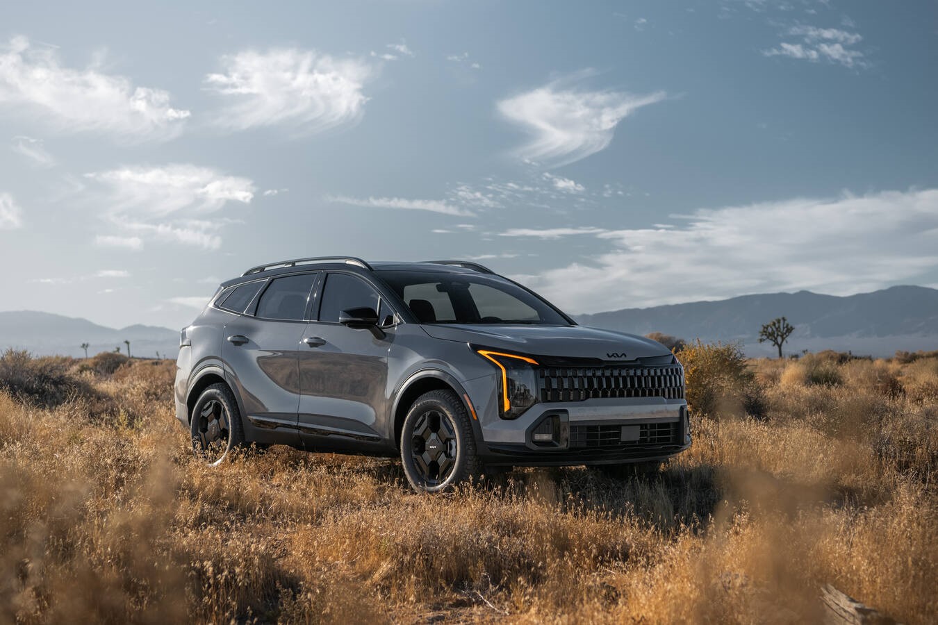Kia Sportages available in Felton, DE at Felton Holly Kia