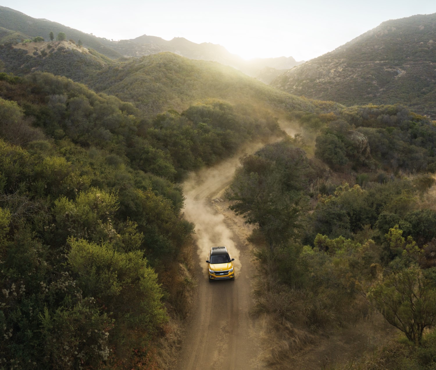 Kia Seltos SUV Service in Bakersfield, CA Haddad Kia