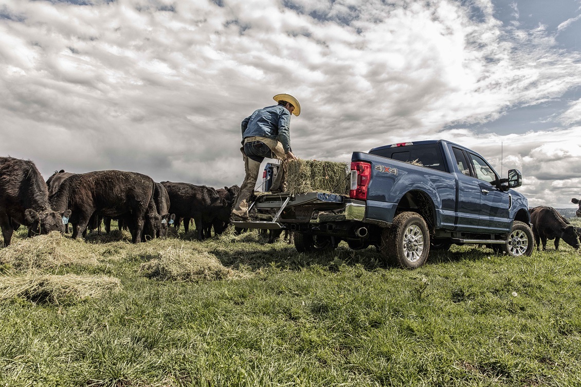 Ford F-350s available in Albany, OR at 