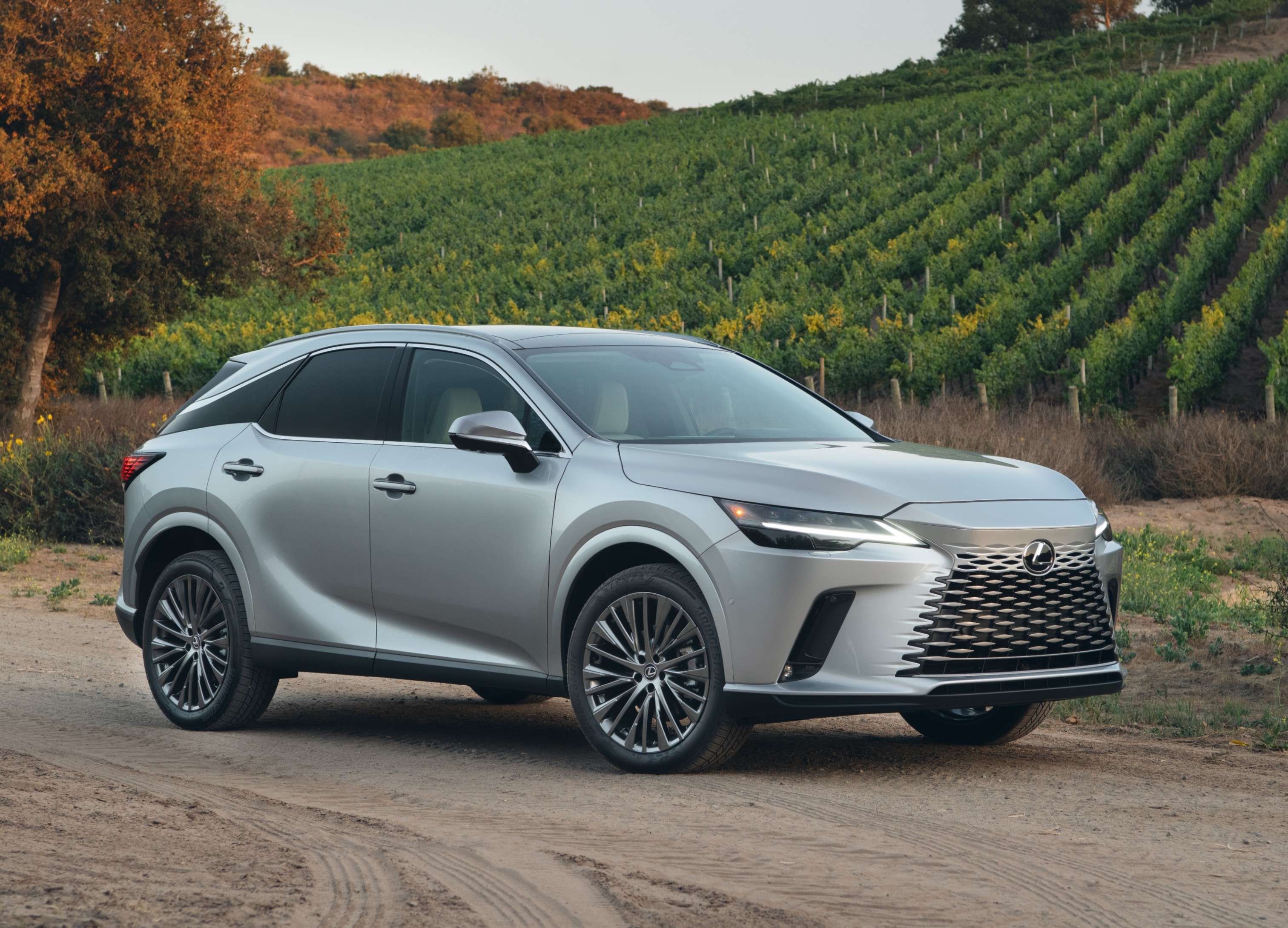 Lexus RX Hybrids available near Meridian, ID at Peterson Lexus