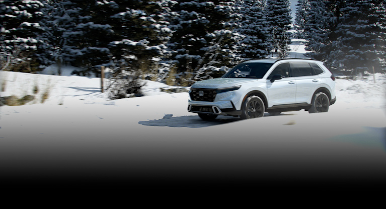 Honda CR-Vs available in Tacoma, WA at South Tacoma Honda